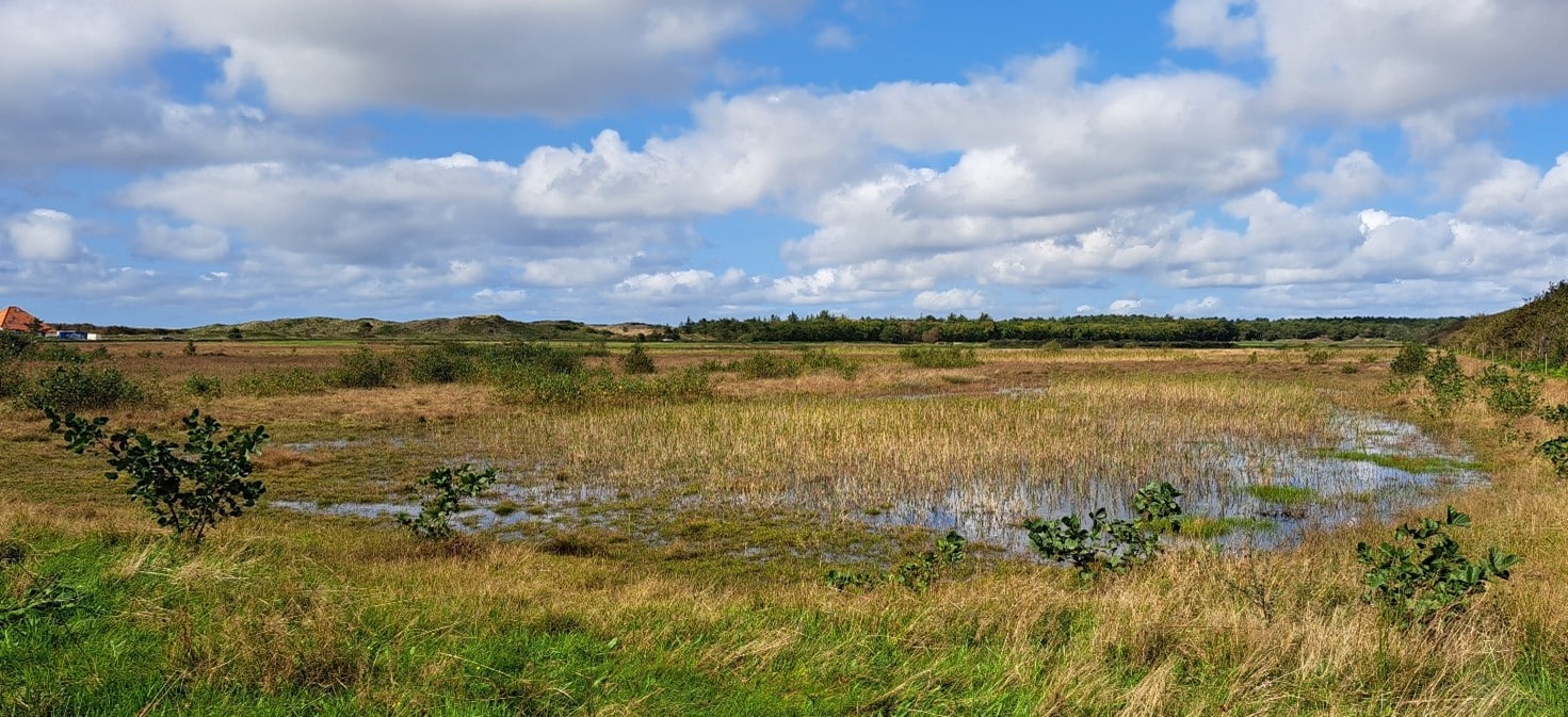 Het Alloo Texel