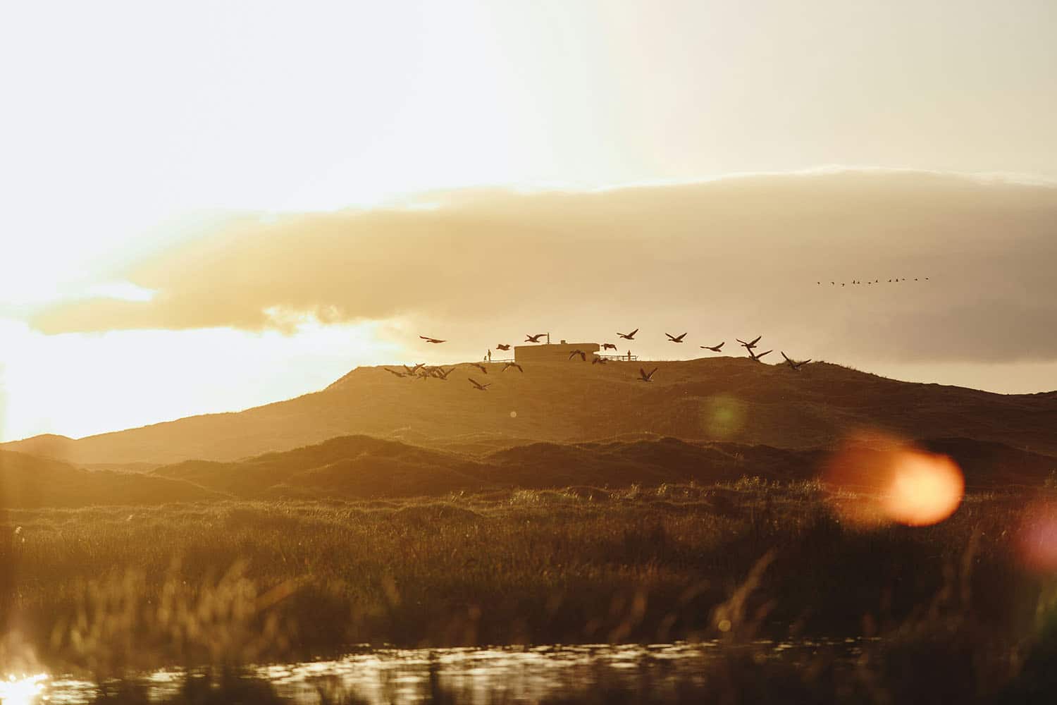 Vogels spotten op Texel