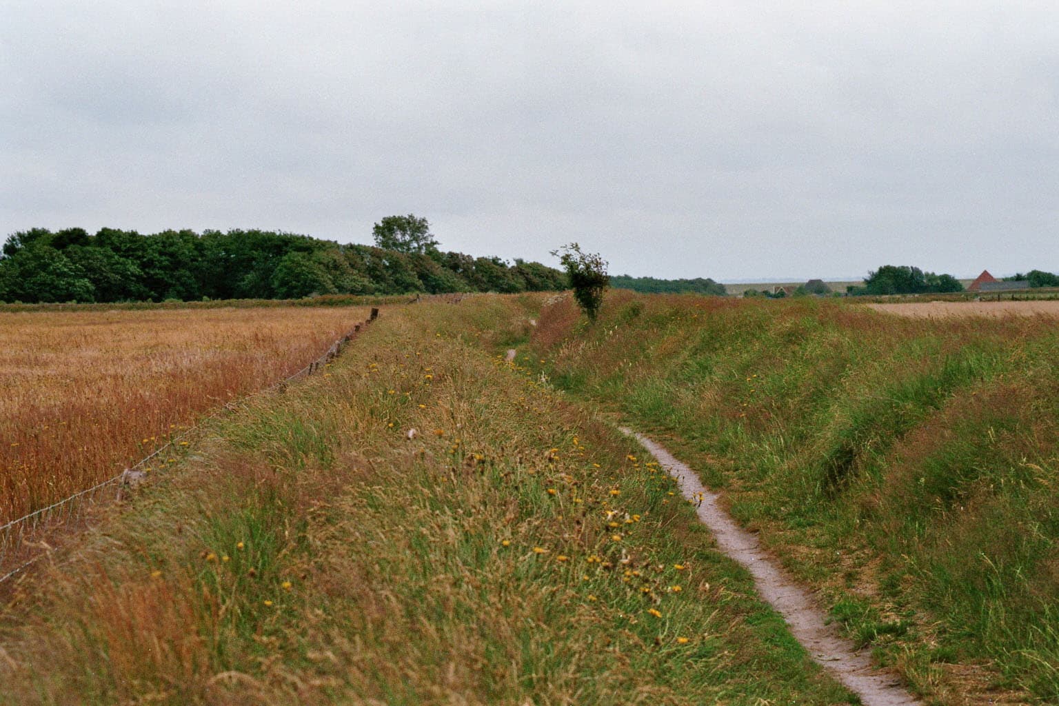 De Hoge Berg op Texel